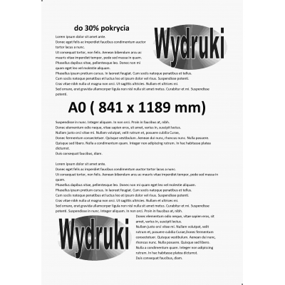 Druk A0 (841 x 1189 mm) czarno-biały, wgraj plik do druku ...